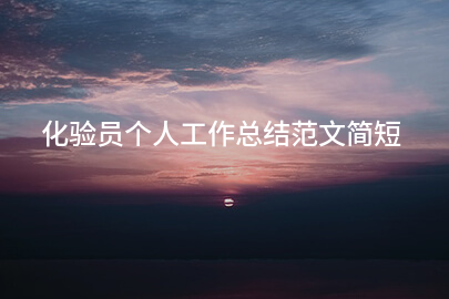 化验员个人工作总结范文简短