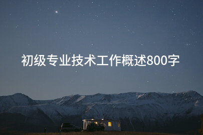 初级专业技术工作概述800字