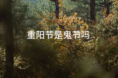 重阳节是鬼节吗