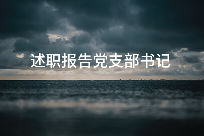 述职报告党支部书记