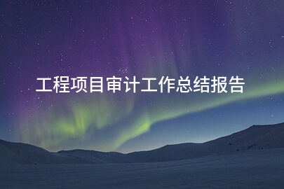 工程项目审计工作总结报告