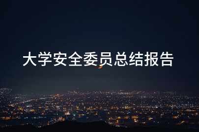 大学安全委员总结报告