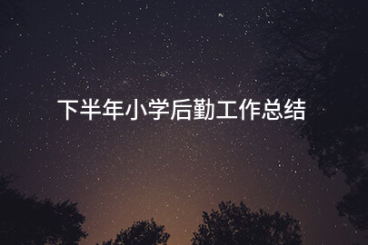 下半年小学后勤工作总结