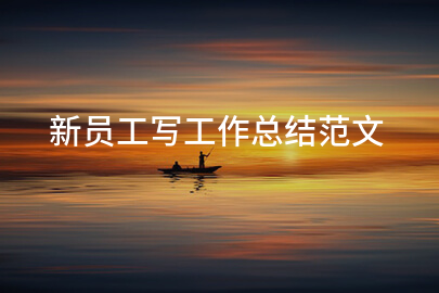 新员工写工作总结范文
