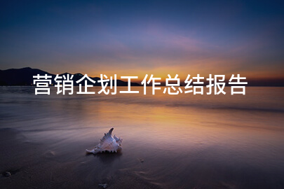 营销企划工作总结报告