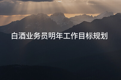 白酒业务员明年工作目标规划