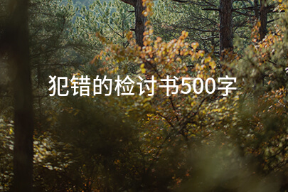 犯错的检讨书500字