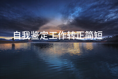 自我鉴定工作转正简短