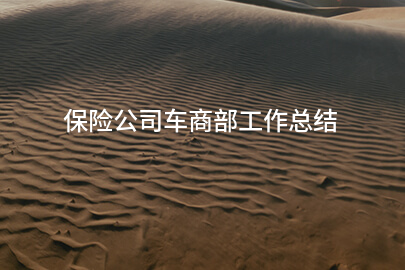 保险公司车商部工作总结