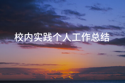 校内实践个人工作总结