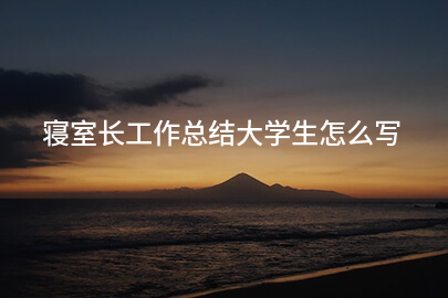 寝室长工作总结大学生怎么写
