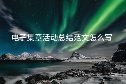 电子集章活动总结范文怎么写