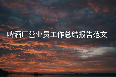 啤酒厂营业员工作总结报告范文