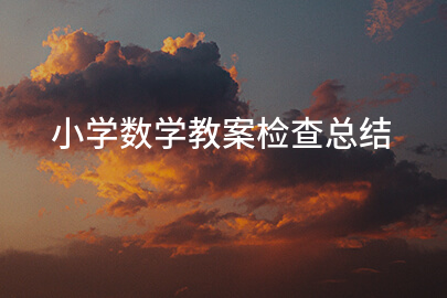 小学数学教案检查总结