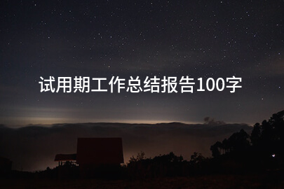 试用期工作总结报告100字