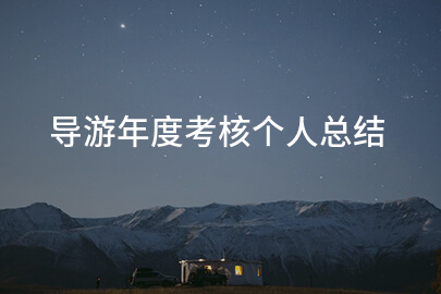 导游年度考核个人总结