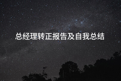 总经理转正报告及自我总结