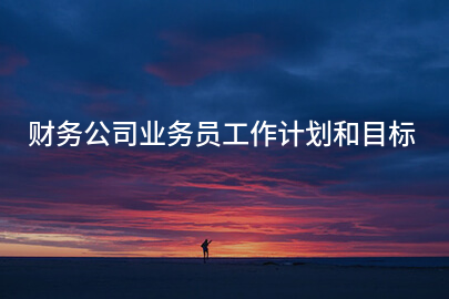 财务公司业务员工作计划和目标