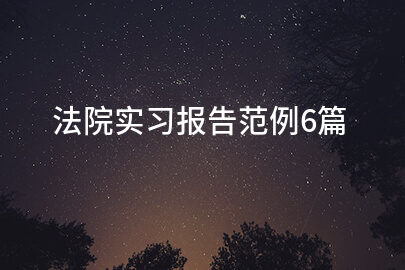 法院实习报告范例6篇
