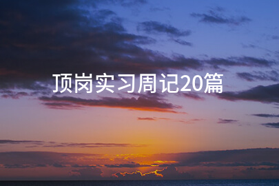 頂崗實習周記20篇
