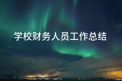学校财务人员工作总结