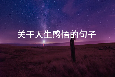 关于人生感悟的句子