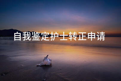 自我鉴定护士转正申请