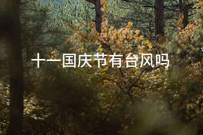 十一国庆节有台风吗