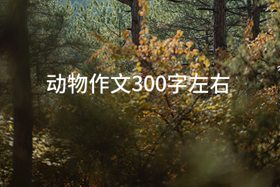 動物作文300字左右