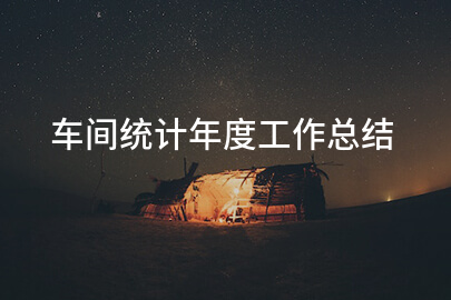 车间统计年度工作总结