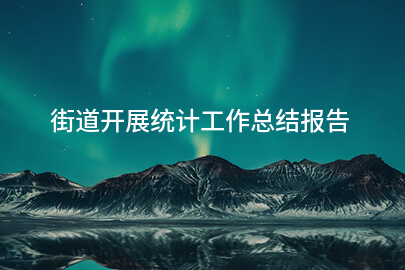 街道开展统计工作总结报告
