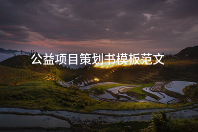 公益项目策划书模板范文