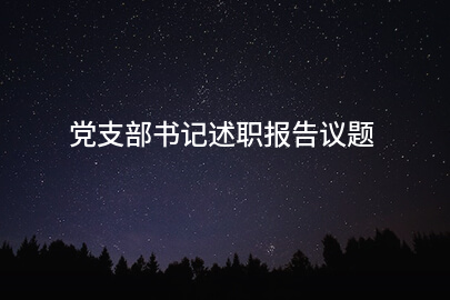 党支部书记述职报告议题