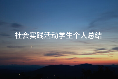社会实践活动学生个人总结