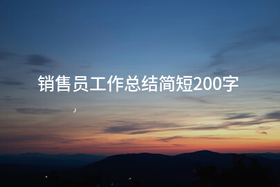 销售员工作总结简短200字
