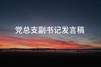 党总支副书记发言稿