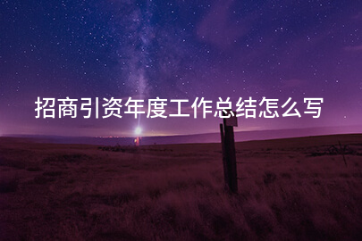招商引资年度工作总结怎么写