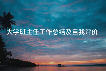 大学班主任工作总结及自我评价