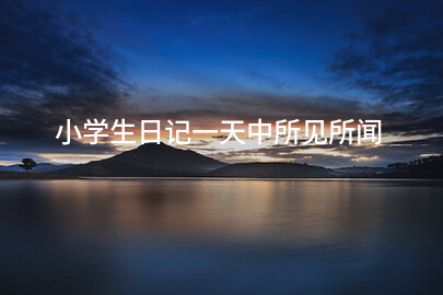 小學生日記一天中所見所聞