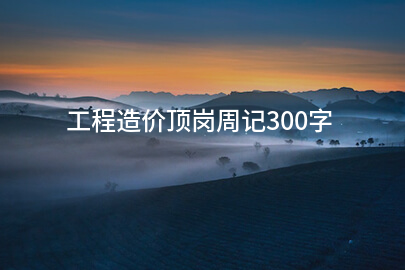 工程造价顶岗周记300字