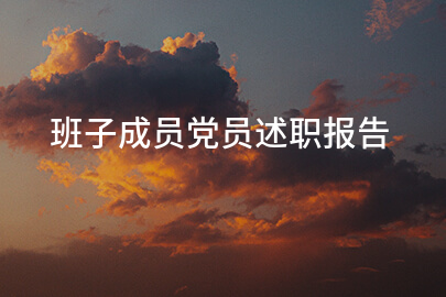 班子成员党员述职报告