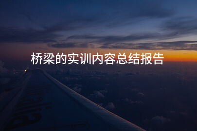 橋梁的實訓內容總結報告