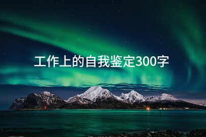 工作上的自我鉴定300字