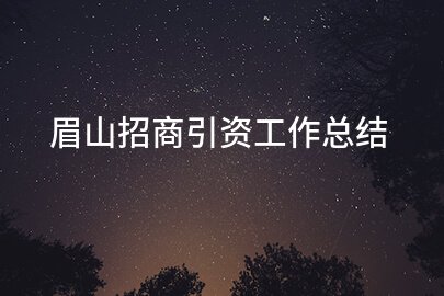 眉山招商引资工作总结