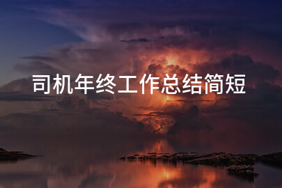 司机年终工作总结简短