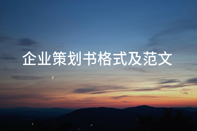 企业策划书格式及范文