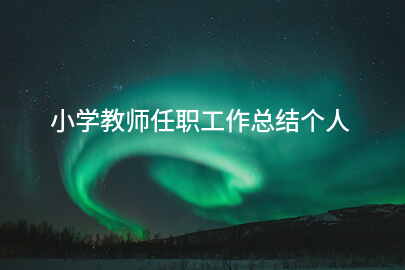 小学教师任职工作总结个人