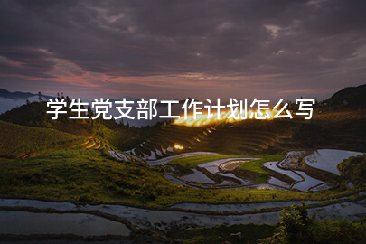 学生党支部工作计划怎么写