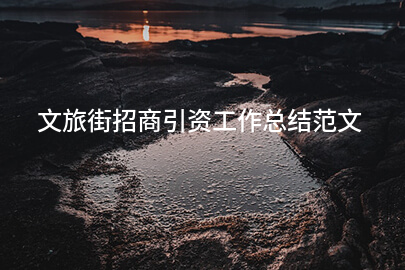 文旅街招商引资工作总结范文