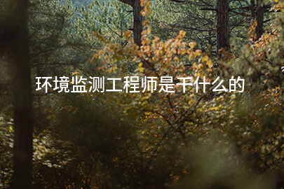 环境监测工程师是干什么的